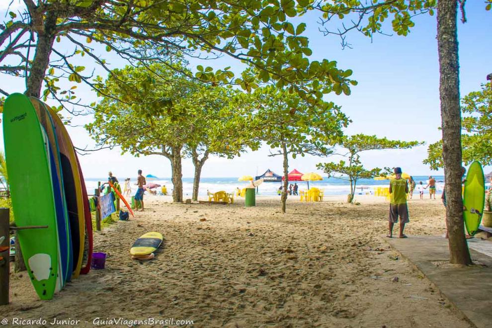 Imagem da famosa e deliciosa Praia da Itamambuca em Ubatuba.